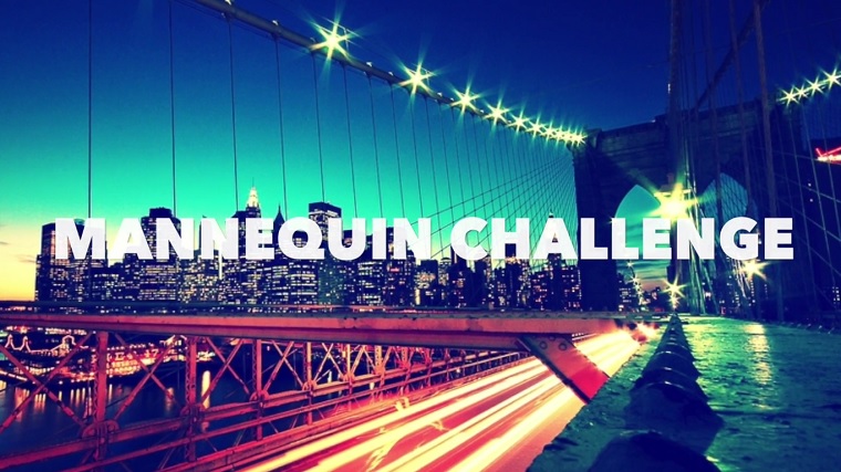 Challenge work in USA - Намерете своята бригада в америка